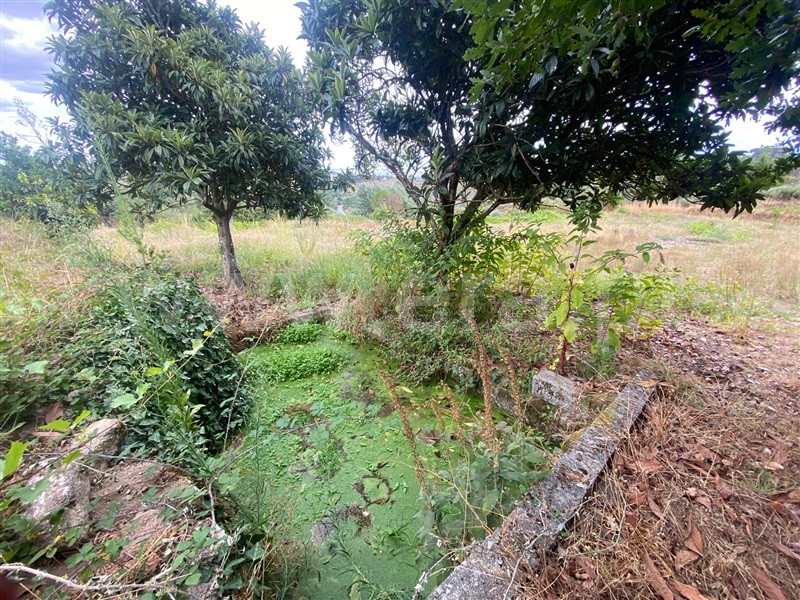 Terreno  Gouveia, Cativelos - 1505729 - 7
