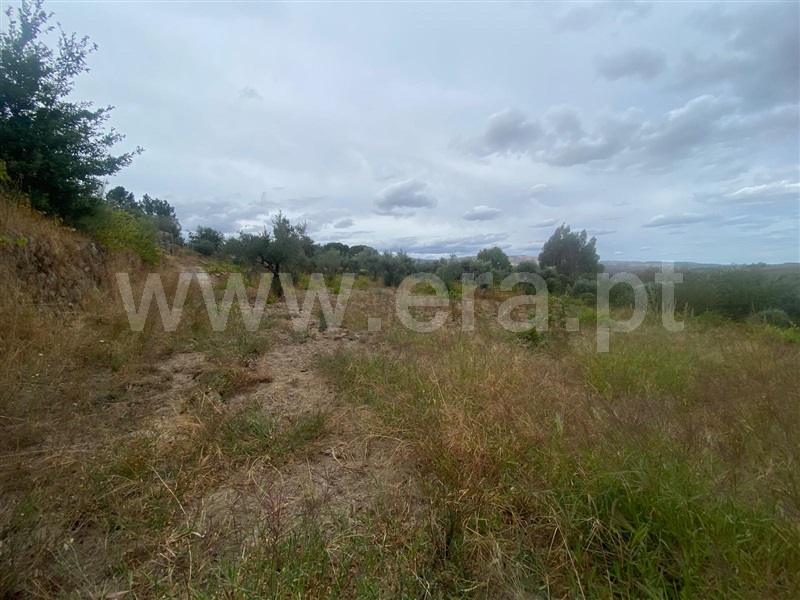 Terreno  Gouveia, Cativelos - 1505729 - 8