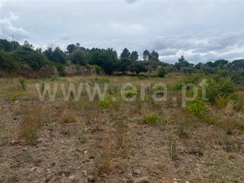 Terreno  Gouveia, Cativelos - 1505729 - 9