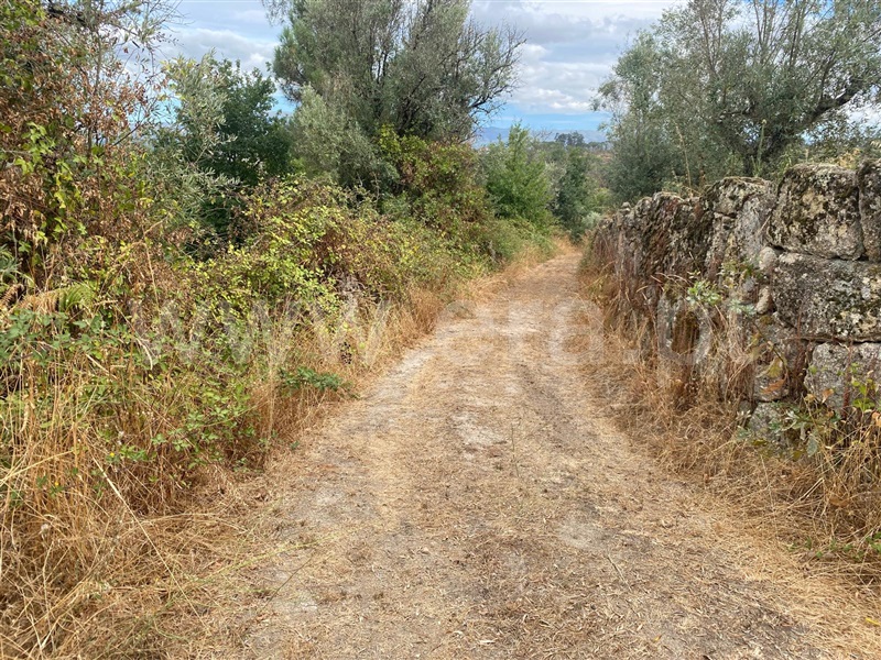 Terreno  Gouveia, Cativelos - 1505729 - 10