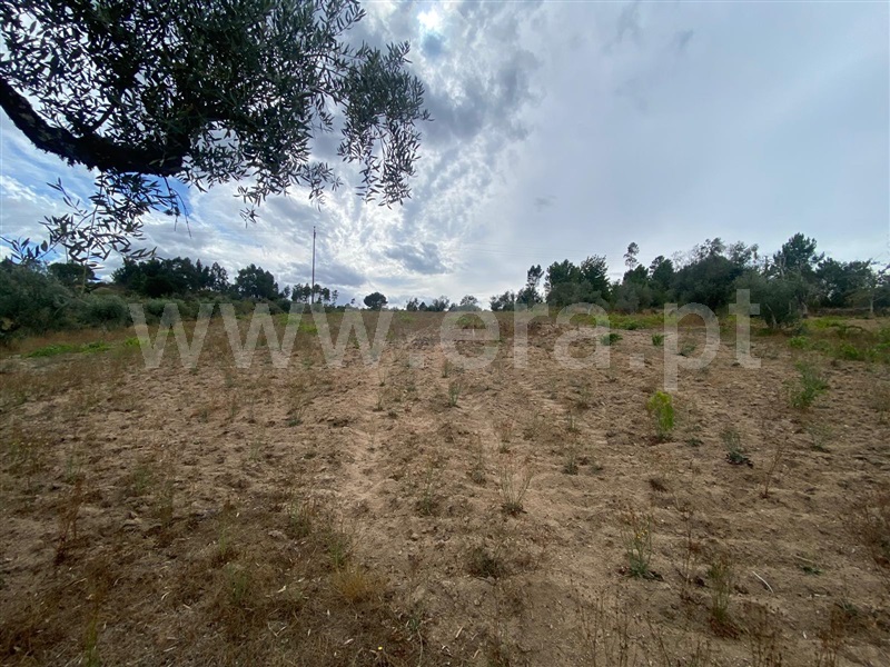 Terreno  Gouveia, Cativelos - 1505729 - 11