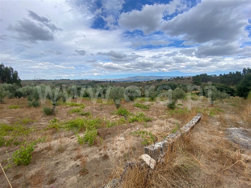 Terreno / Gouveia, Cativelos
