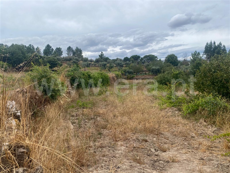Terreno  Gouveia, Cativelos - 1505729 - 14