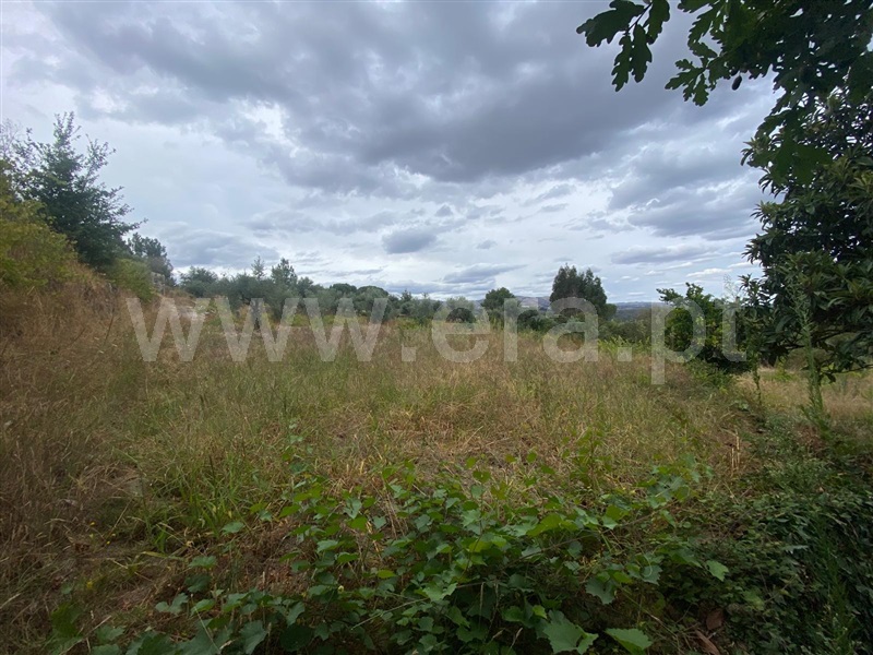 Terreno  Gouveia, Cativelos - 1505729 - 15