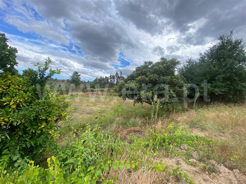 Terreno  Gouveia, Cativelos - 1505729 - 16