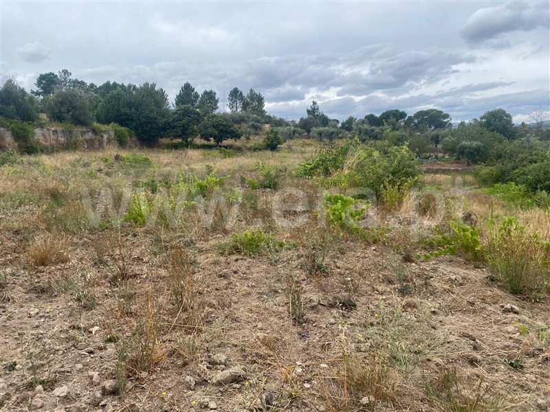 Terreno  Gouveia, Cativelos - 1505729 - 17