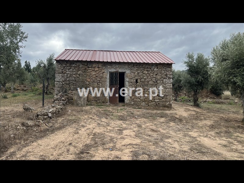 Terreno / Gouveia, Folgosinho