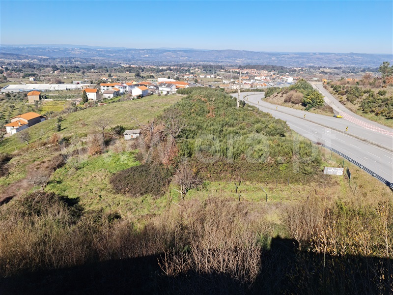 Terreno / Gouveia, Gouveia