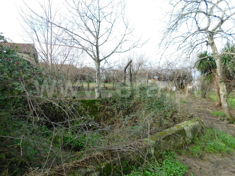 Terreno  Gouveia - 1311200 - 6