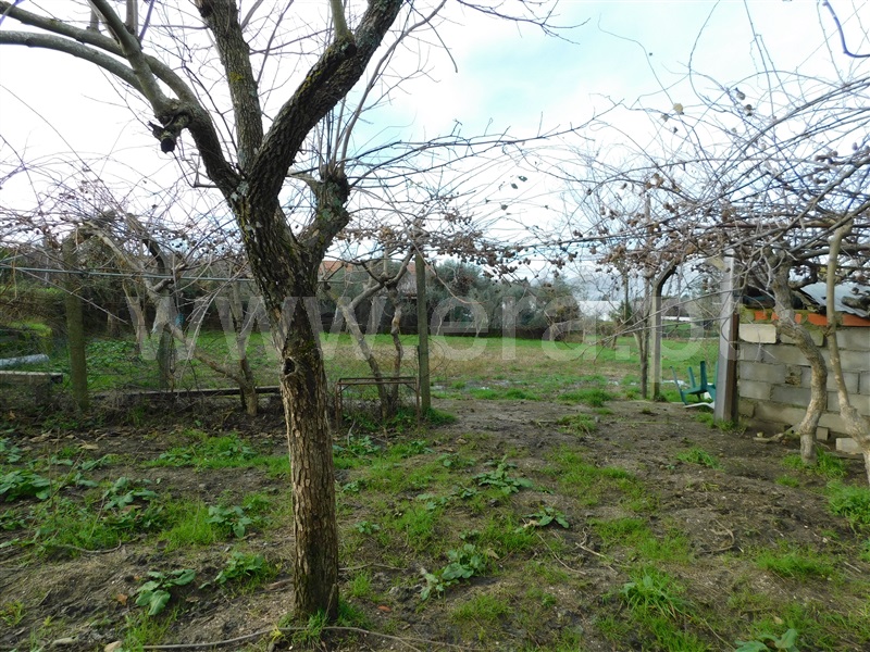 Terreno  Gouveia - 1311200 - 8