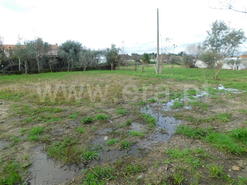 Terreno  Gouveia - 1311200 - 10