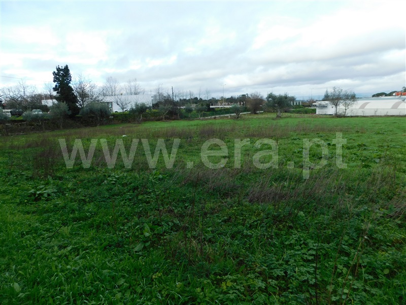 Terreno  Gouveia - 1311200 - 11