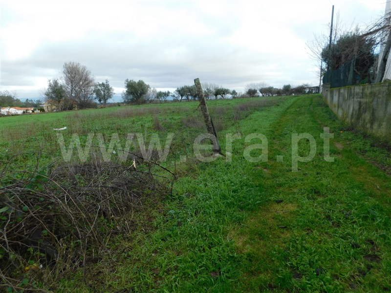 Terreno  Gouveia - 1311200 - 12