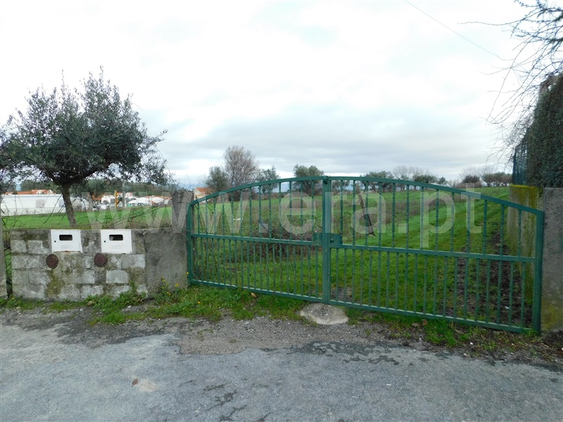 Terreno  Gouveia - 1311200 - 13