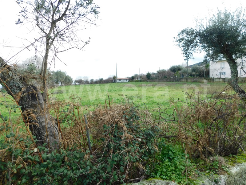 Terreno  Gouveia - 1311200 - 14