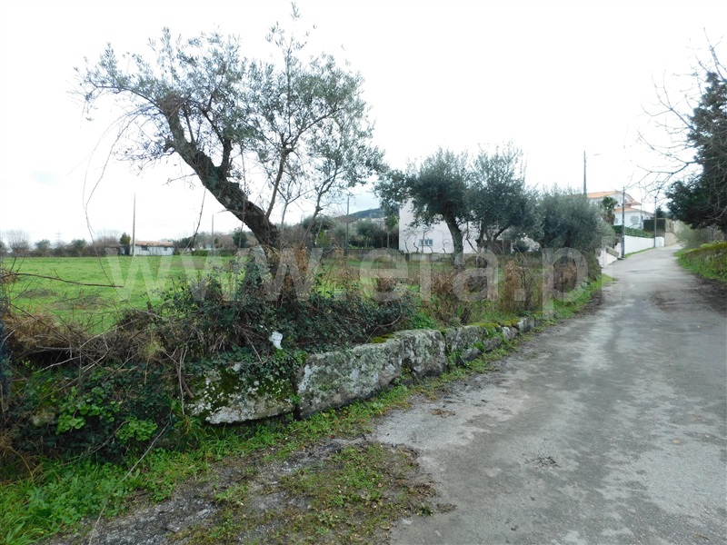 Terreno  Gouveia - 1311200 - 15