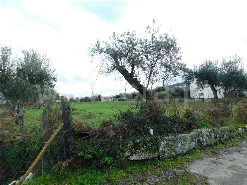 Terreno  Gouveia - 1311200 - 16