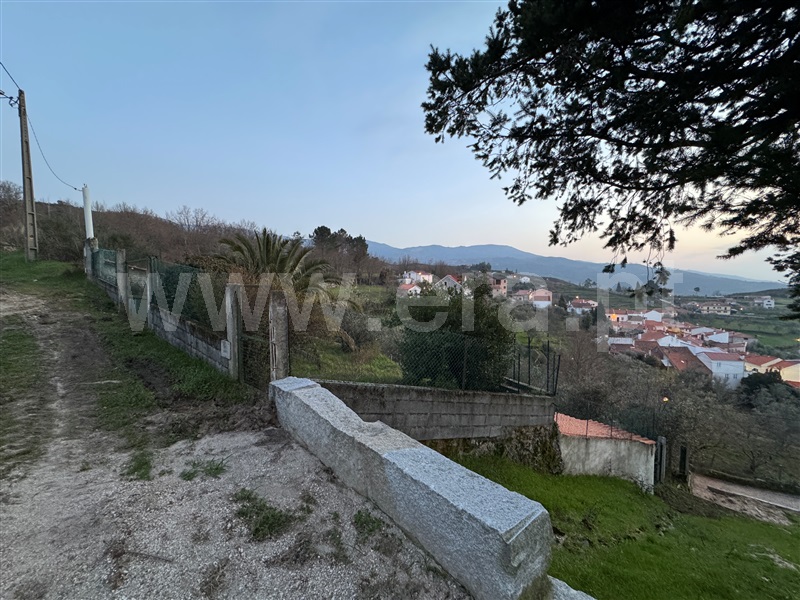 Terreno / Gouveia, Mangualde da Serra