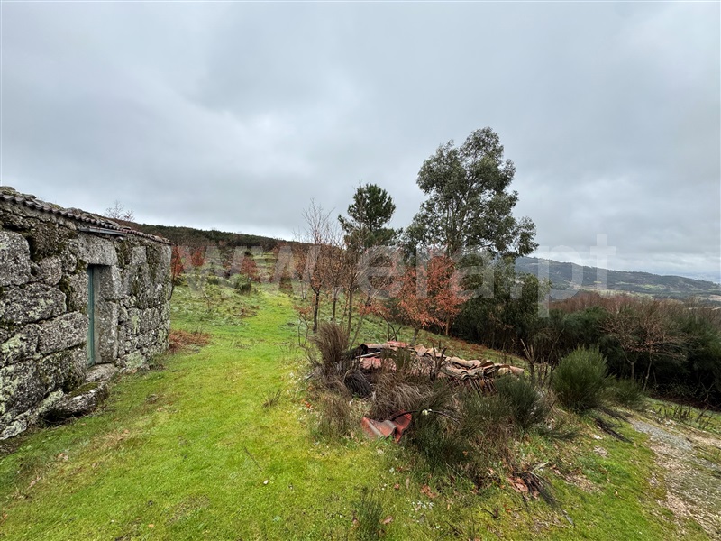 Terreno / Gouveia, Mangualde da Serra