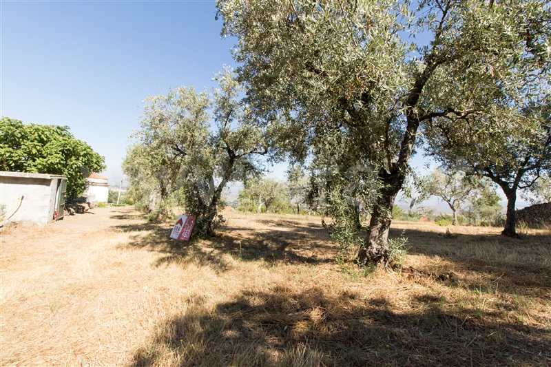 Terreno  Gouveia, Melo e Nabais - 1264131 - 7