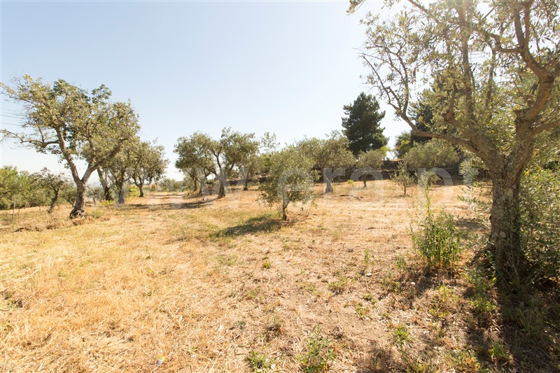 Terreno  Gouveia, Melo e Nabais - 1264131 - 11