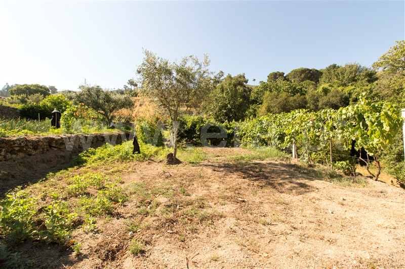 Terreno  Gouveia, Melo e Nabais - 1264131 - 15