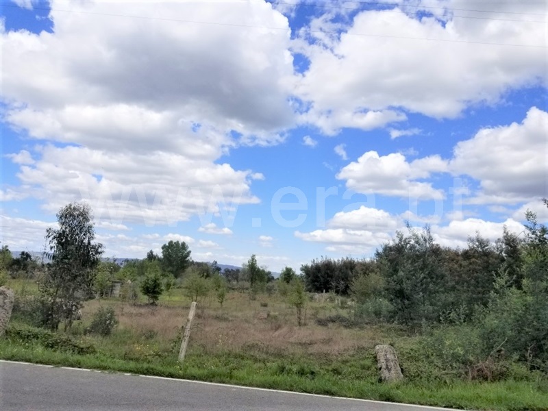 Terreno / Gouveia, Moimenta da Serra e Vinhó