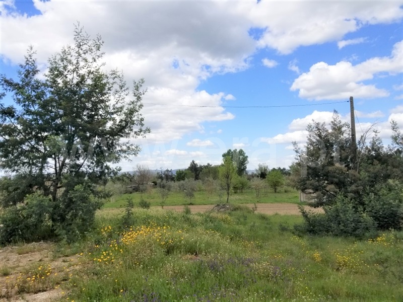 Terreno  Gouveia, Moimenta da Serra e Vinhó - 1249777 - 3