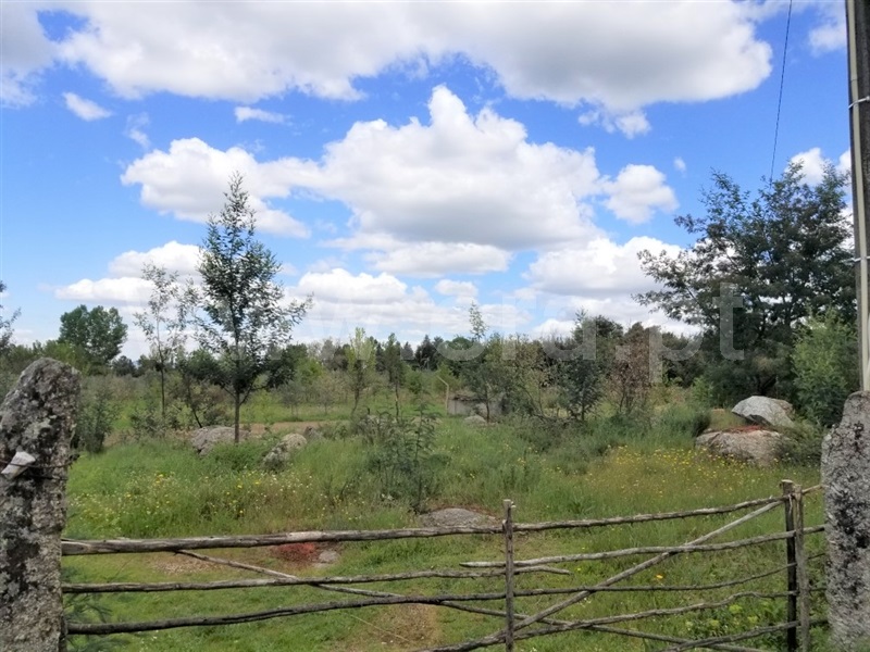 Terreno  Gouveia, Moimenta da Serra e Vinhó - 1249777 - 4