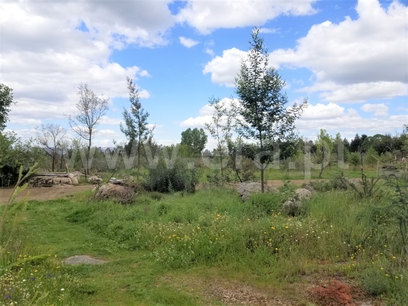 Terreno  Gouveia, Moimenta da Serra e Vinhó - 1249777 - 5