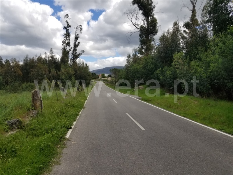 Terreno  Gouveia, Moimenta da Serra e Vinhó - 1249777 - 7