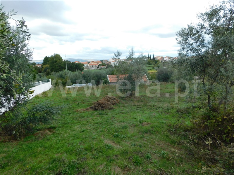 Terreno / Gouveia, Moimenta da Serra e Vinhó