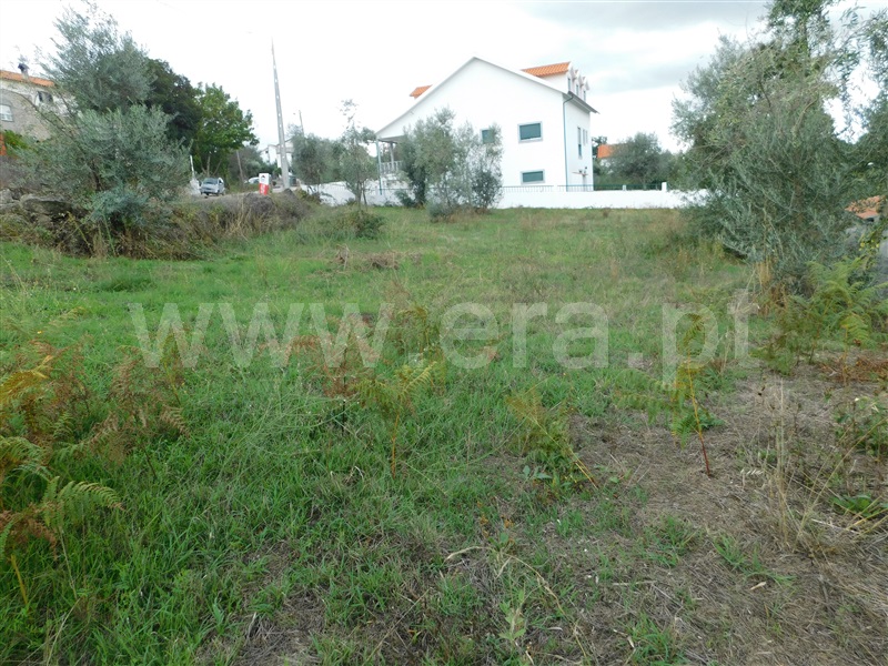 Terreno  Gouveia, Moimenta da Serra e Vinhó - 1277842 - 4
