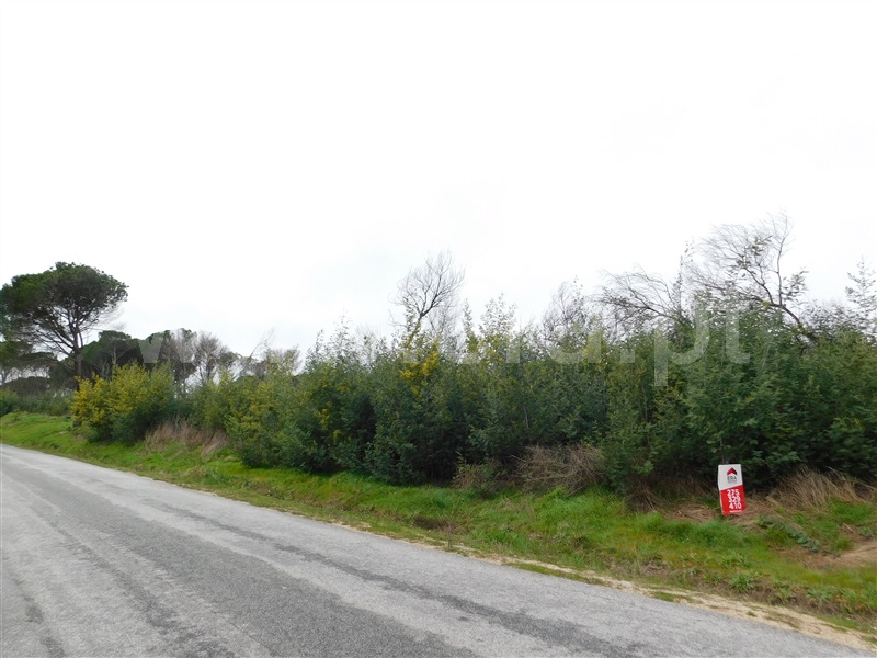 Terreno  Gouveia, Rio Torto - 1075903 - 2