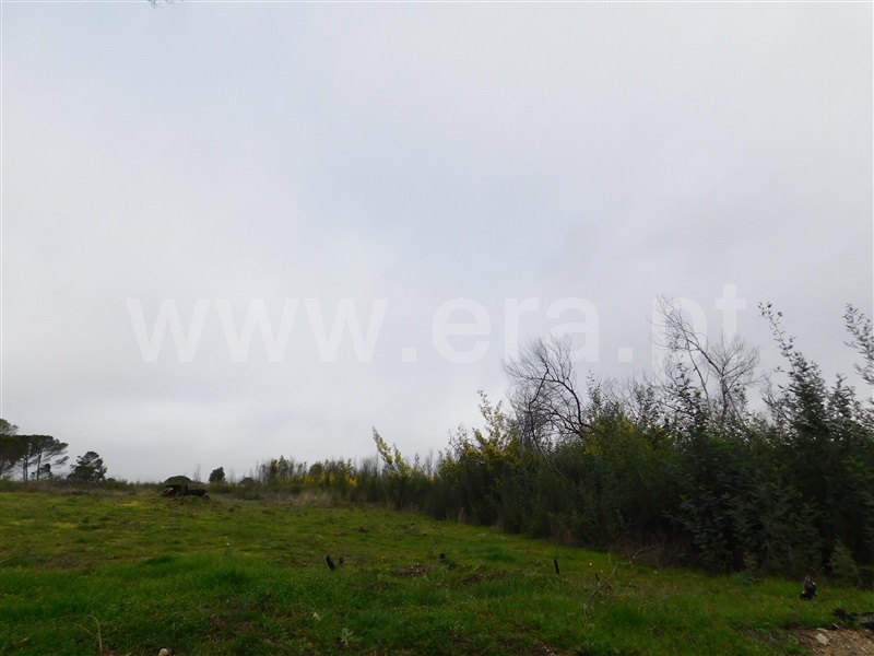 Terreno  Gouveia, Rio Torto - 1075903 - 4