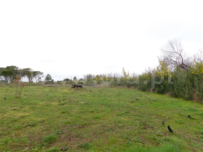 Terreno  Gouveia, Rio Torto - 1075903 - 6