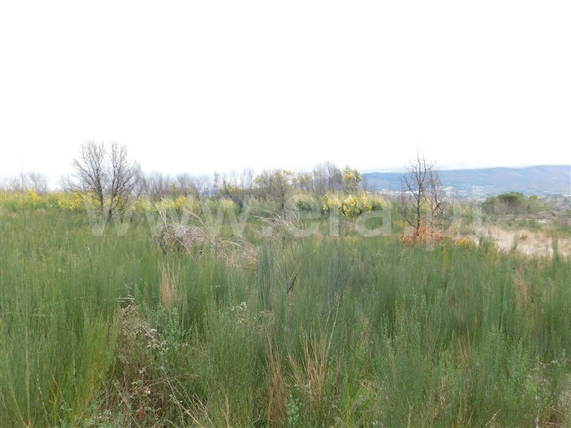 Terreno  Gouveia, Rio Torto - 1075903 - 7