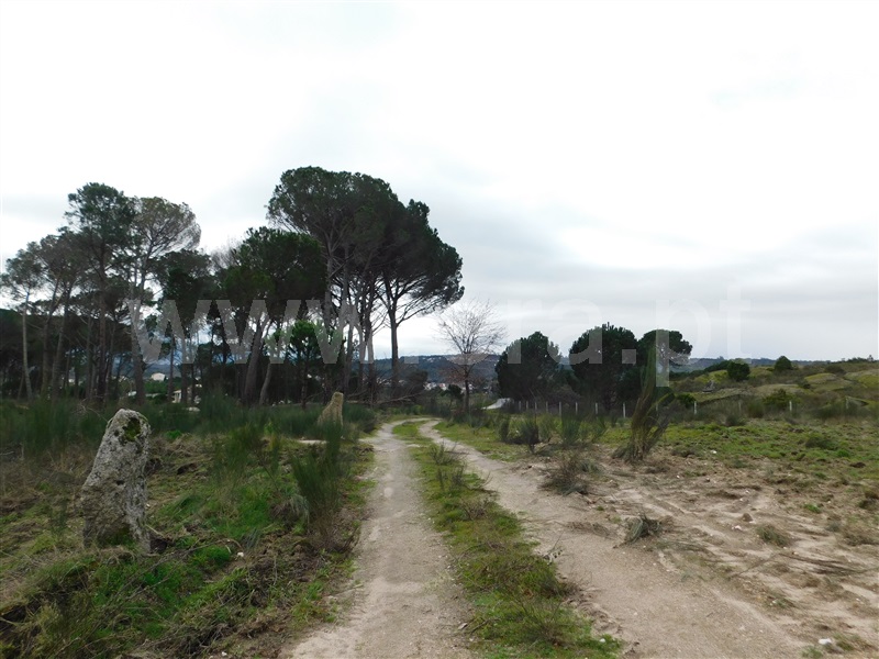 Terreno  Gouveia, Rio Torto - 1075903 - 8