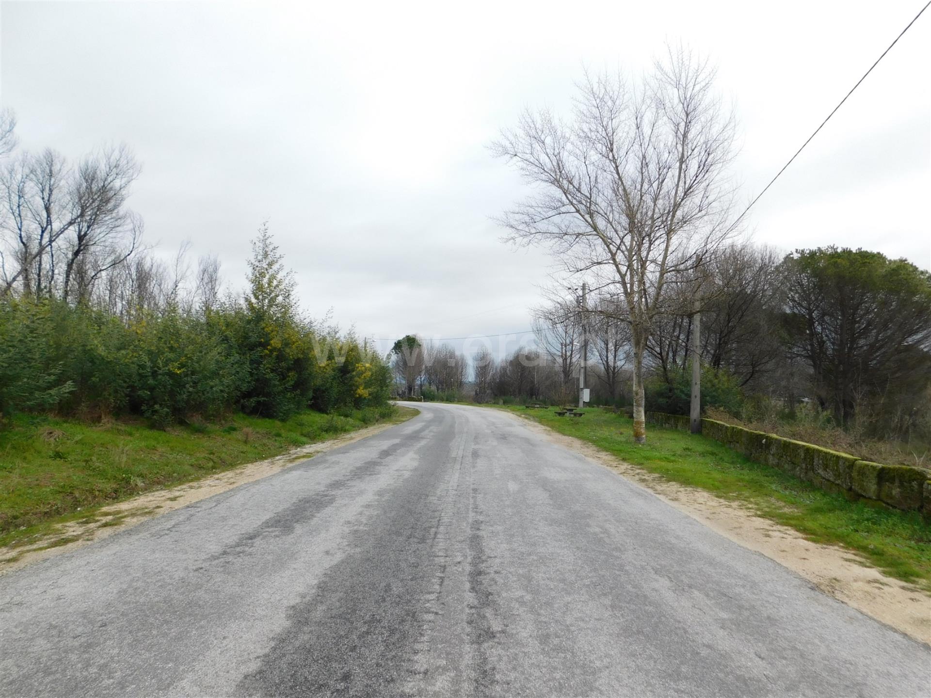 Rua 