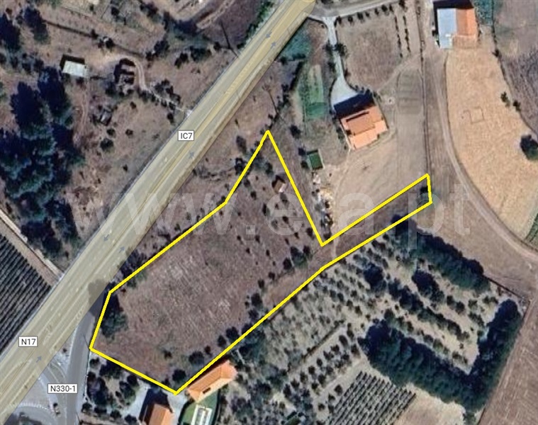Terreno / Gouveia, São Paio