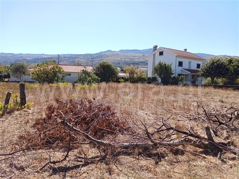 Terreno  Gouveia, São Paio - 1500965 - 3