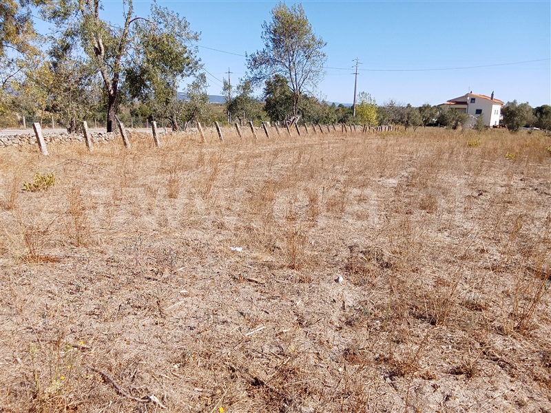 Terreno  Gouveia, São Paio - 1500965 - 4