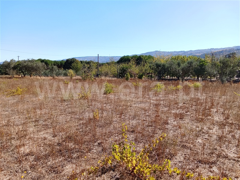 Terreno  Gouveia, São Paio - 1500965 - 5