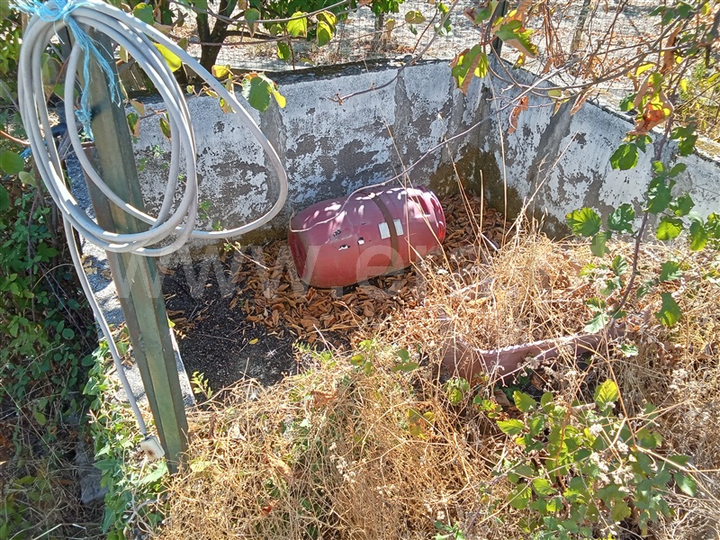 Terreno  Gouveia, São Paio - 1500965 - 6