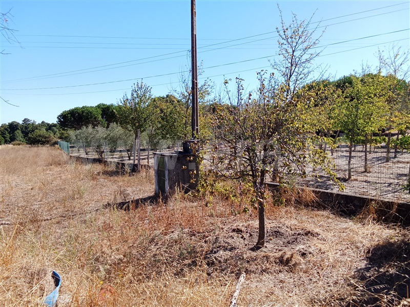 Terreno  Gouveia, São Paio - 1500965 - 8