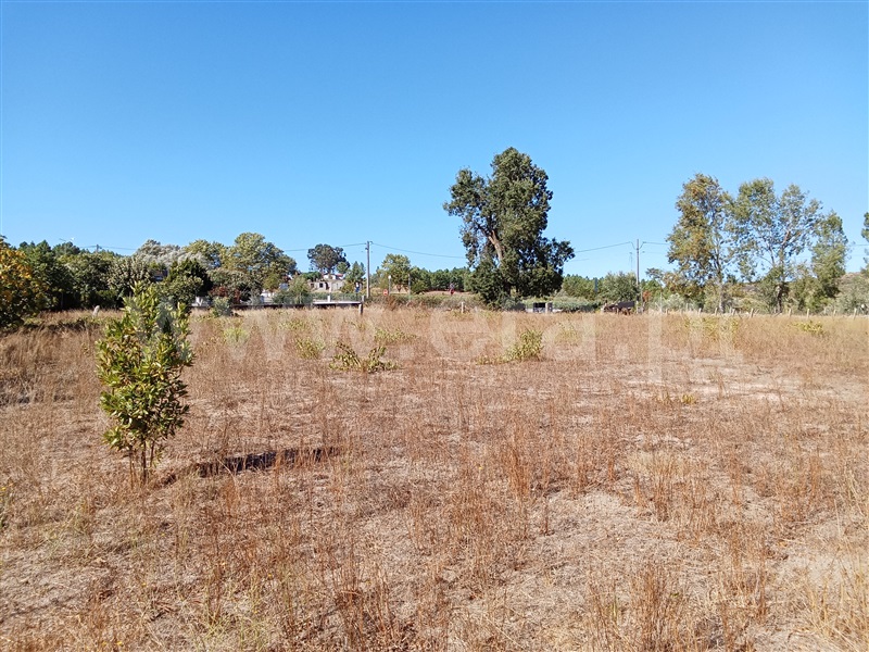Terreno  Gouveia, São Paio - 1500965 - 9