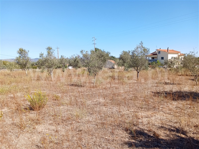 Terreno  Gouveia, São Paio - 1500965 - 10
