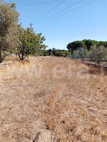 Terreno  Gouveia, São Paio - 1500965 - 11