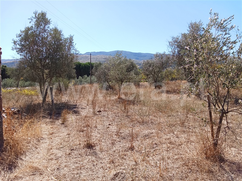 Terreno  Gouveia, São Paio - 1500965 - 13