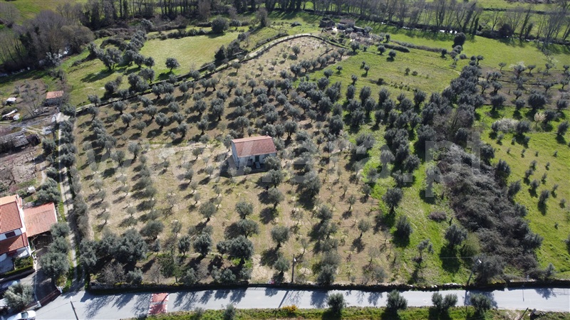 Terreno  Gouveia, Vila Franca da Serra - 1379861 - 6